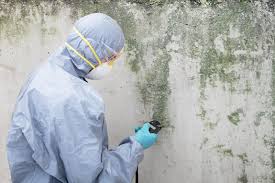 Best Mold Documentation for Insurance Claims  in Broadmoor, CA